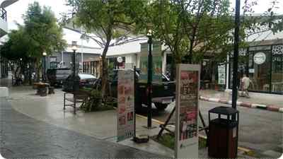 The Tree Bangbon The Tree Bangbon
